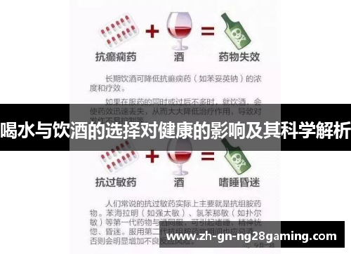 喝水与饮酒的选择对健康的影响及其科学解析