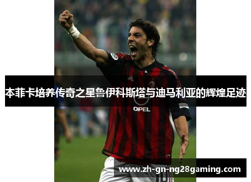 本菲卡培养传奇之星鲁伊科斯塔与迪马利亚的辉煌足迹