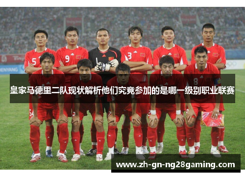 皇家马德里二队现状解析他们究竟参加的是哪一级别职业联赛