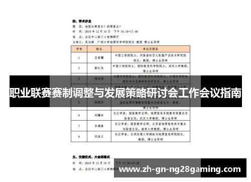 职业联赛赛制调整与发展策略研讨会工作会议指南