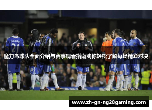 魔力鸟球队全面介绍与赛事观看指南助你轻松了解每场精彩对决