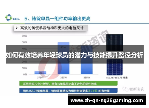 如何有效培养年轻球员的潜力与技能提升路径分析