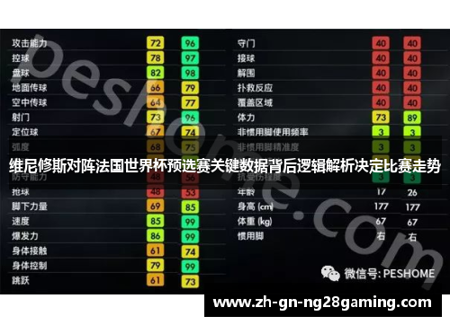 维尼修斯对阵法国世界杯预选赛关键数据背后逻辑解析决定比赛走势